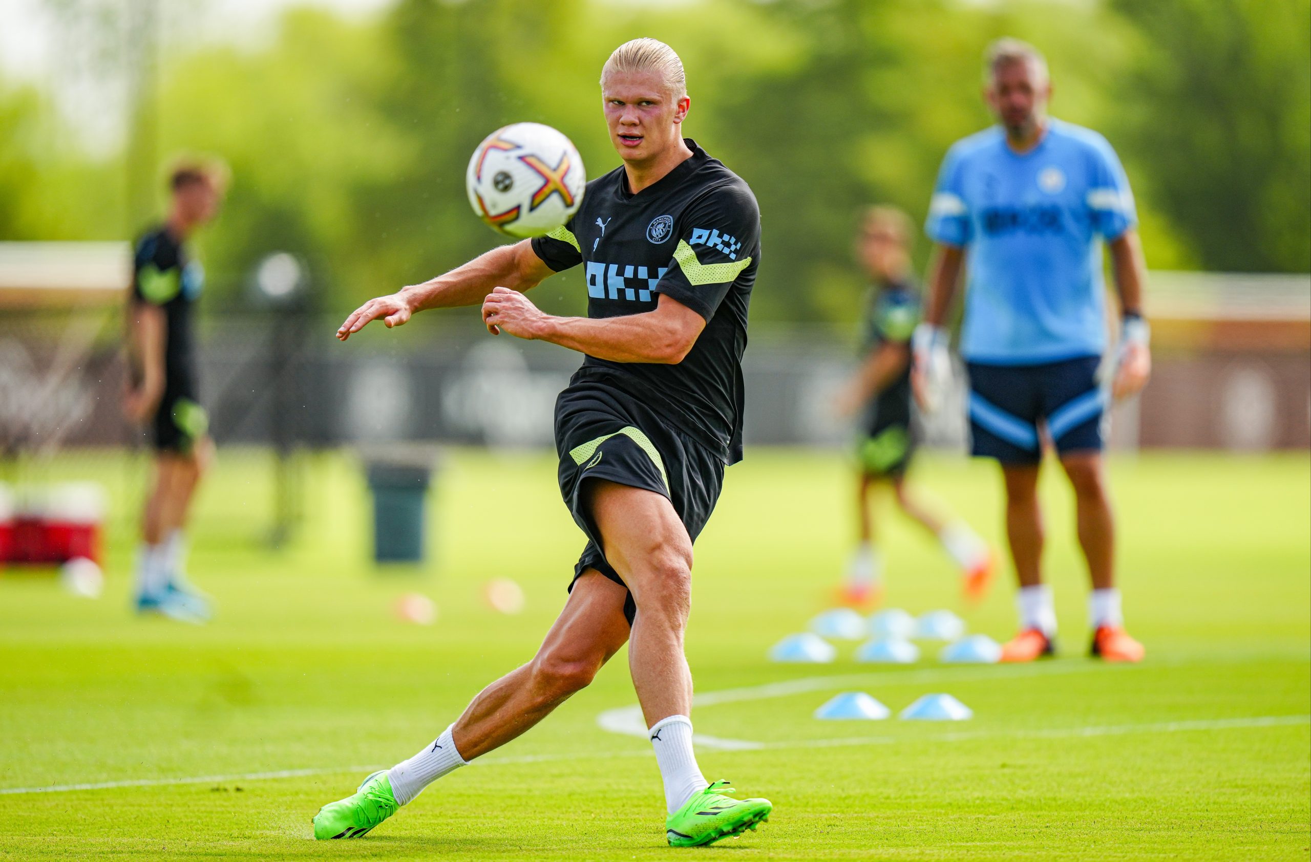 Erling Haaland