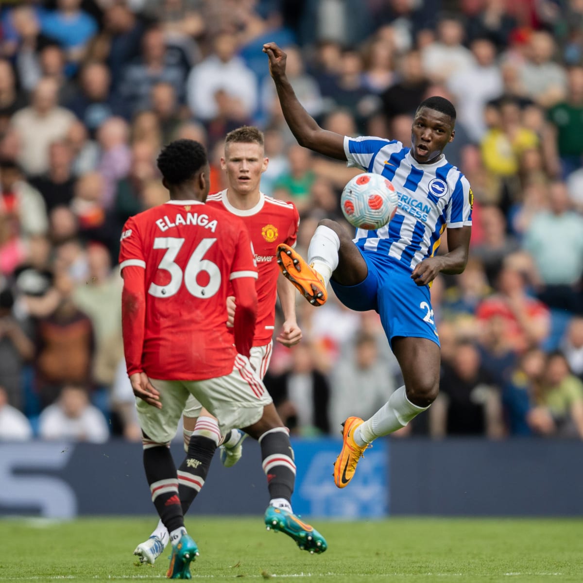 Moises Caicedo Liverpool