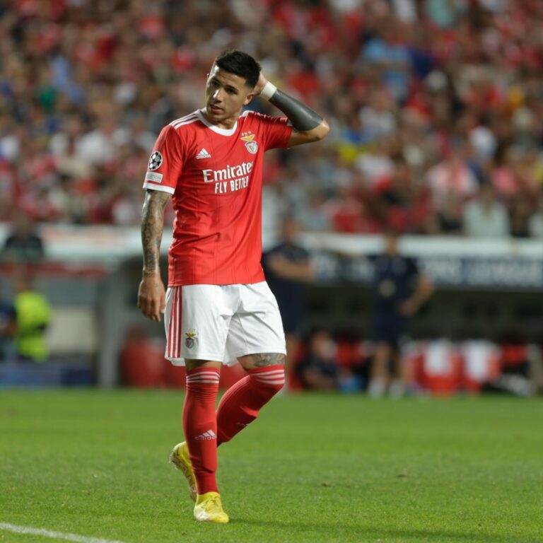 Enzo Fernandez Matheus Nunes