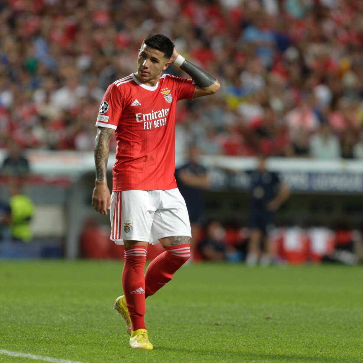 Enzo Fernandez Matheus Nunes