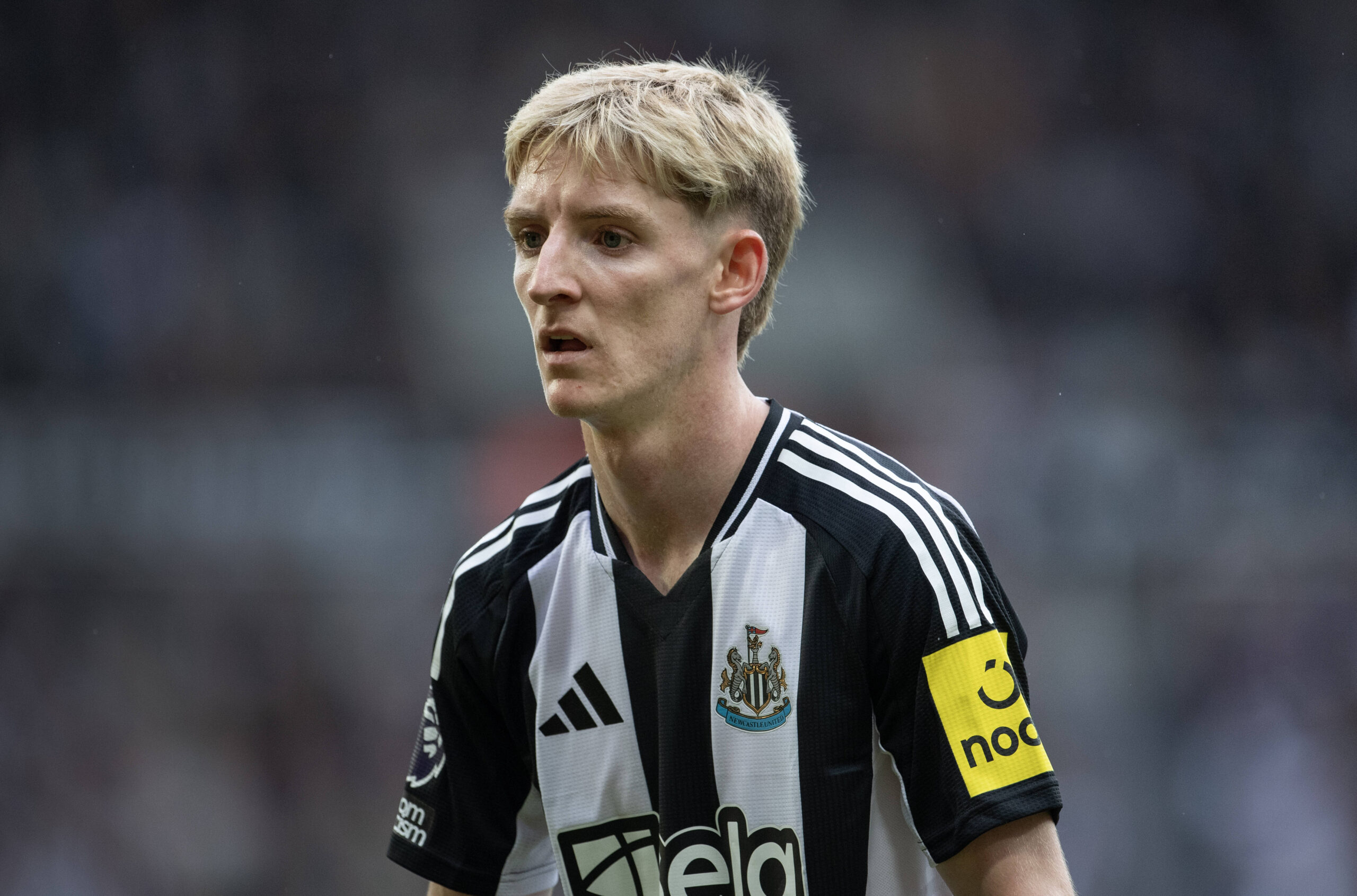 Newcastle United FC v Tottenham Hotspur FC - Premier League NEWCASTLE UPON TYNE, ENGLAND - SEPTEMBER 1: Anthony Gordon o