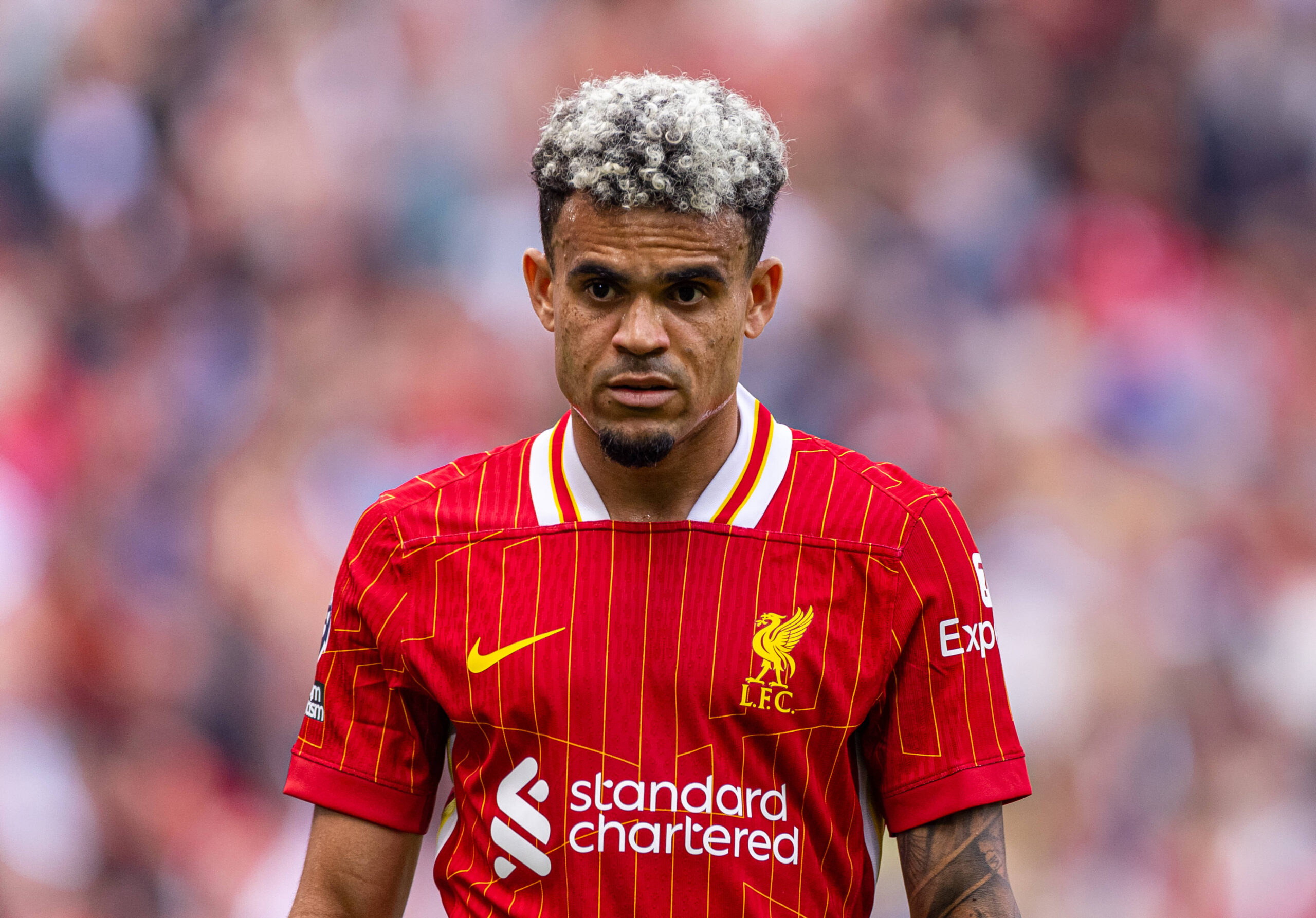 Football - FA Premier League - Liverpool FC v AFC Bournemouth LIVERPOOL, ENGLAND - Saturday, September 21, 2024: Liverpo