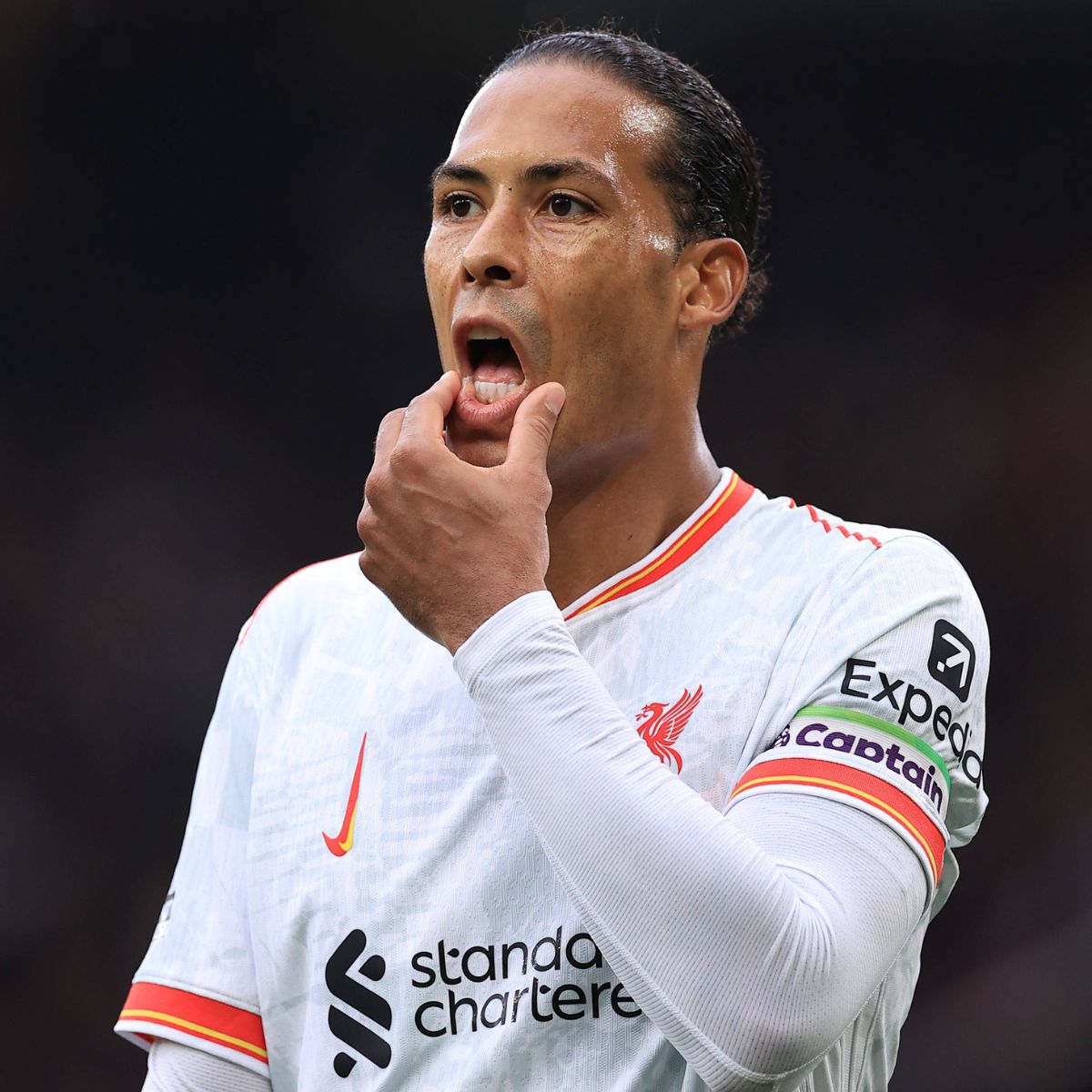 vvd