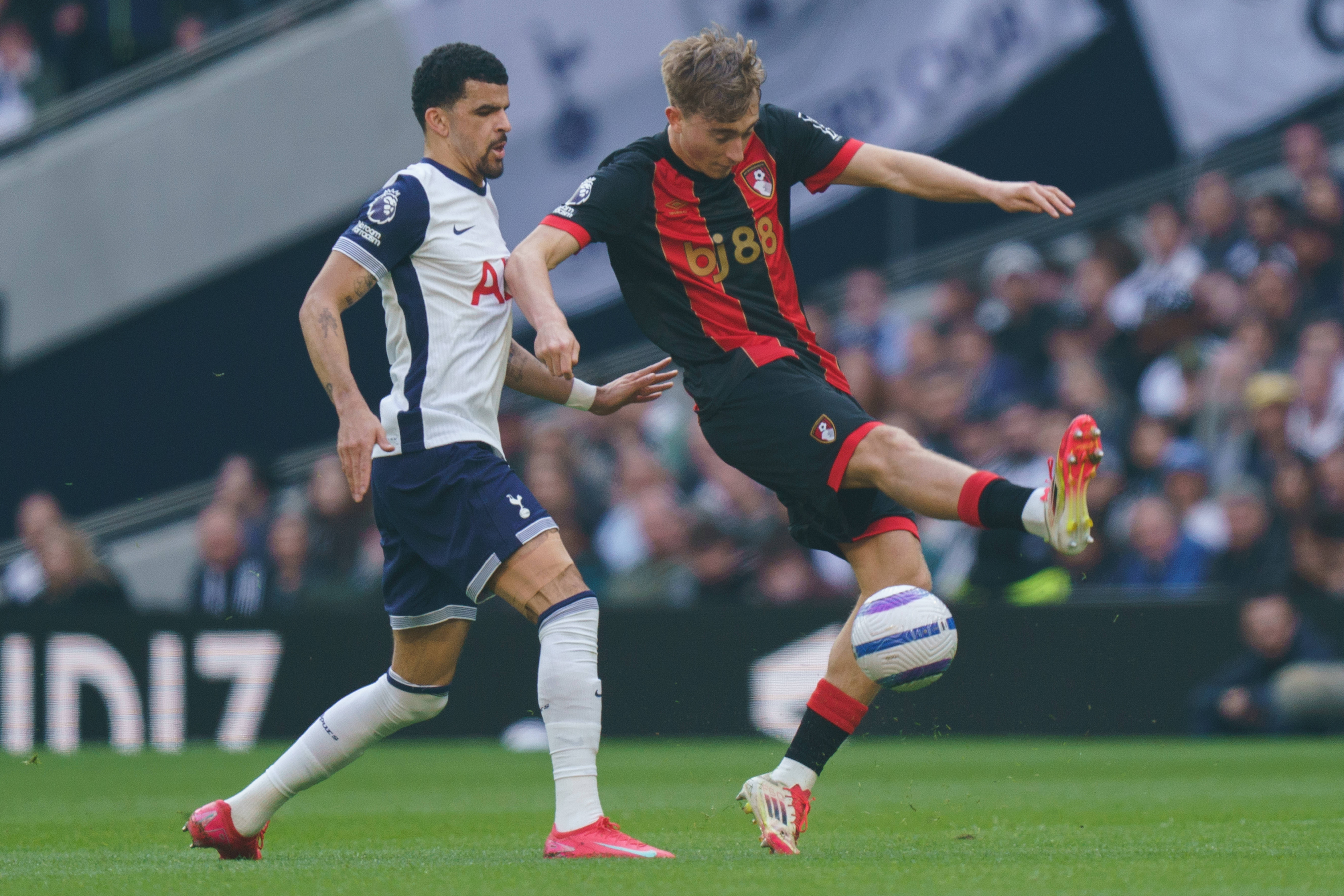 Tottenham Hotspur FC v AFC Bournemouth