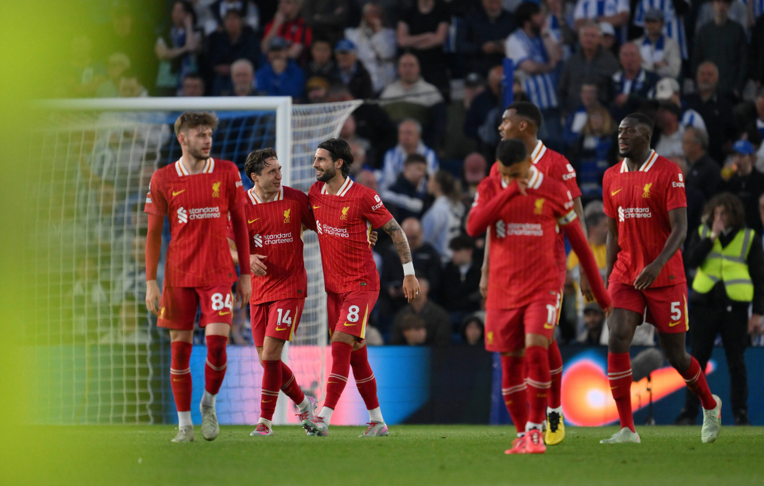 Brighton 3 Liverpool 2
