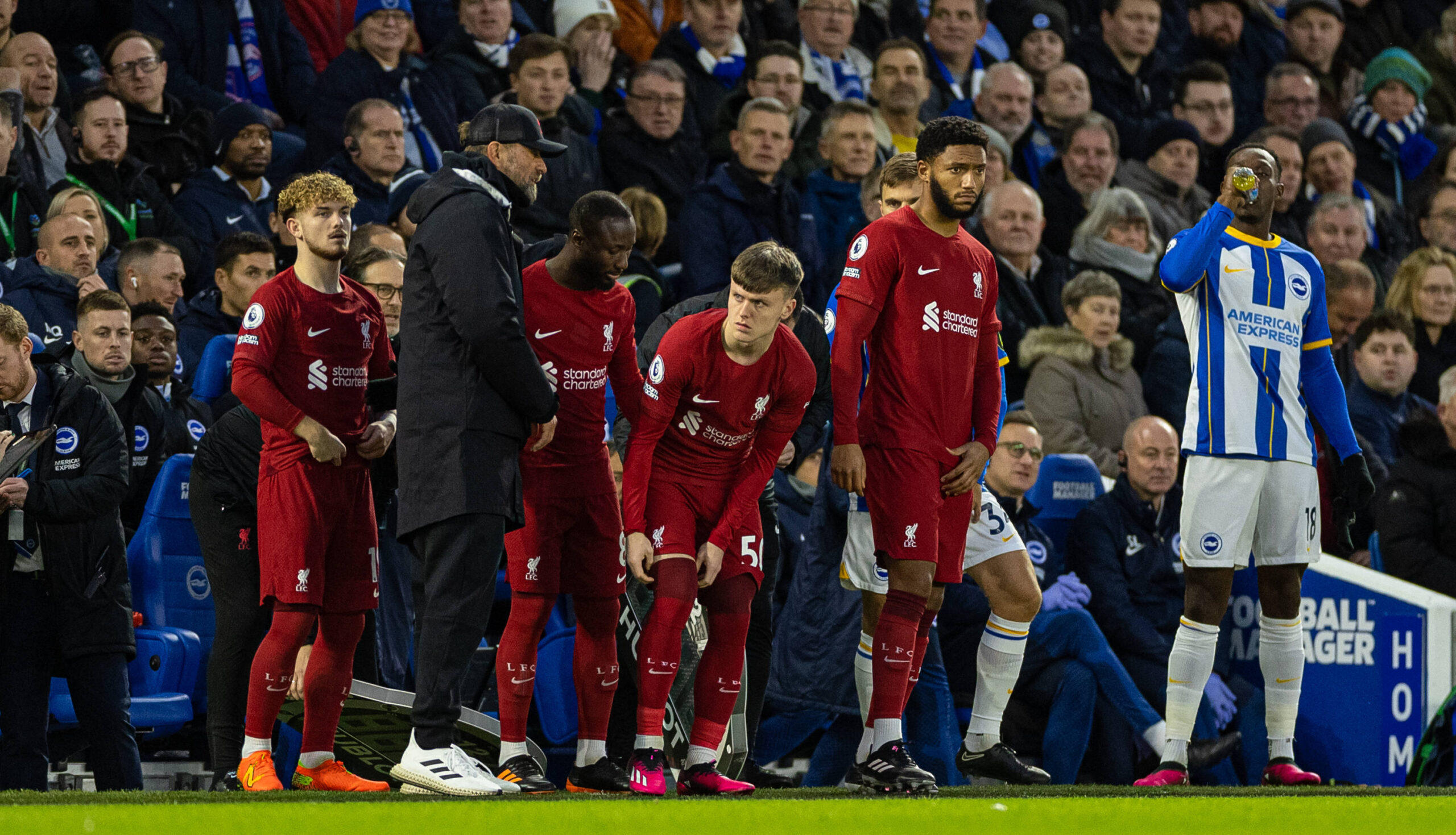 Football - FA Premier League - Brighton & Hove Albion FC v Liverpool FC BRIGHTON & HOVE, ENGLAND - Saturday, January 14,